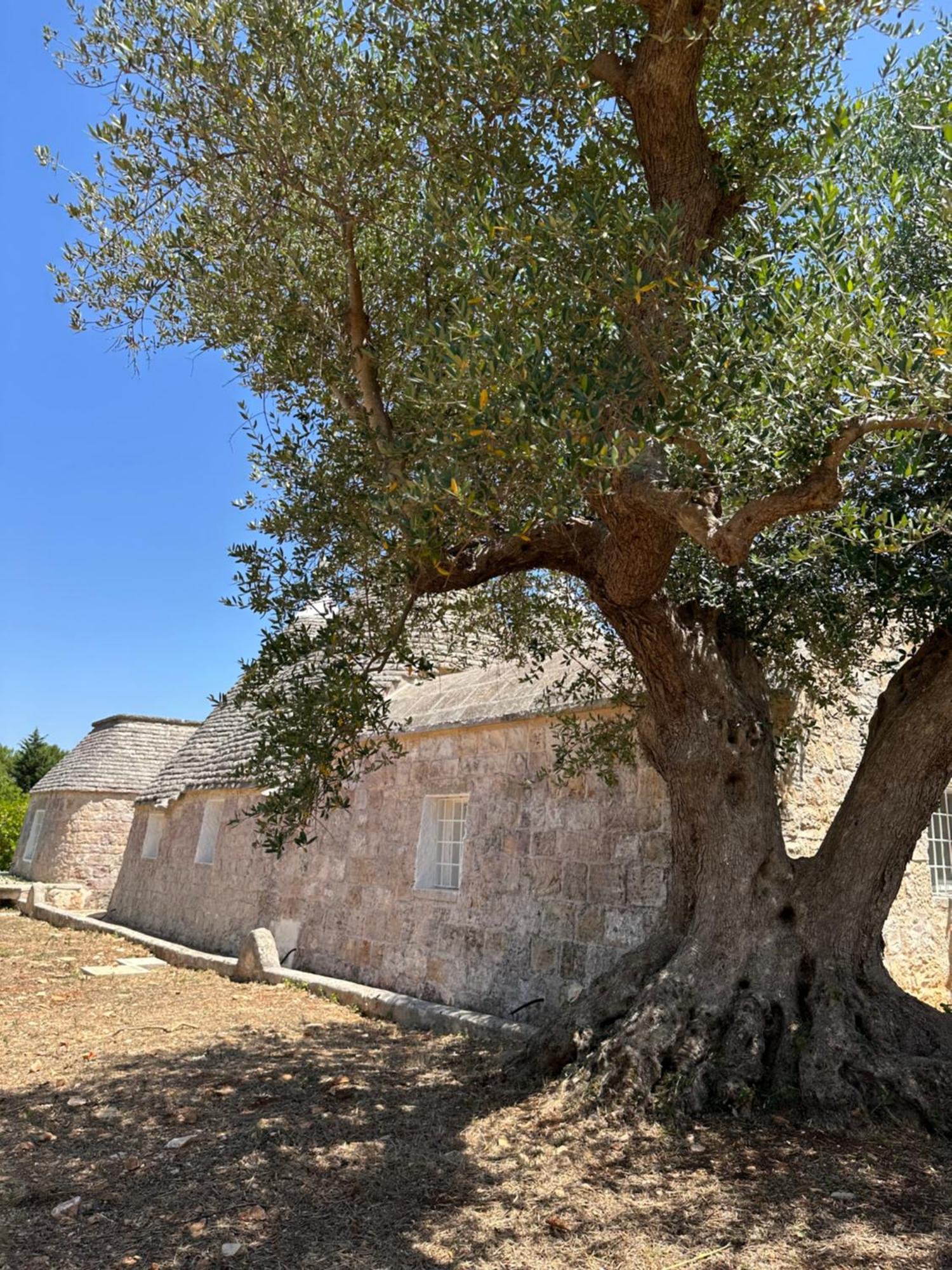 Trullo Claf Villa Ostuni Exterior photo