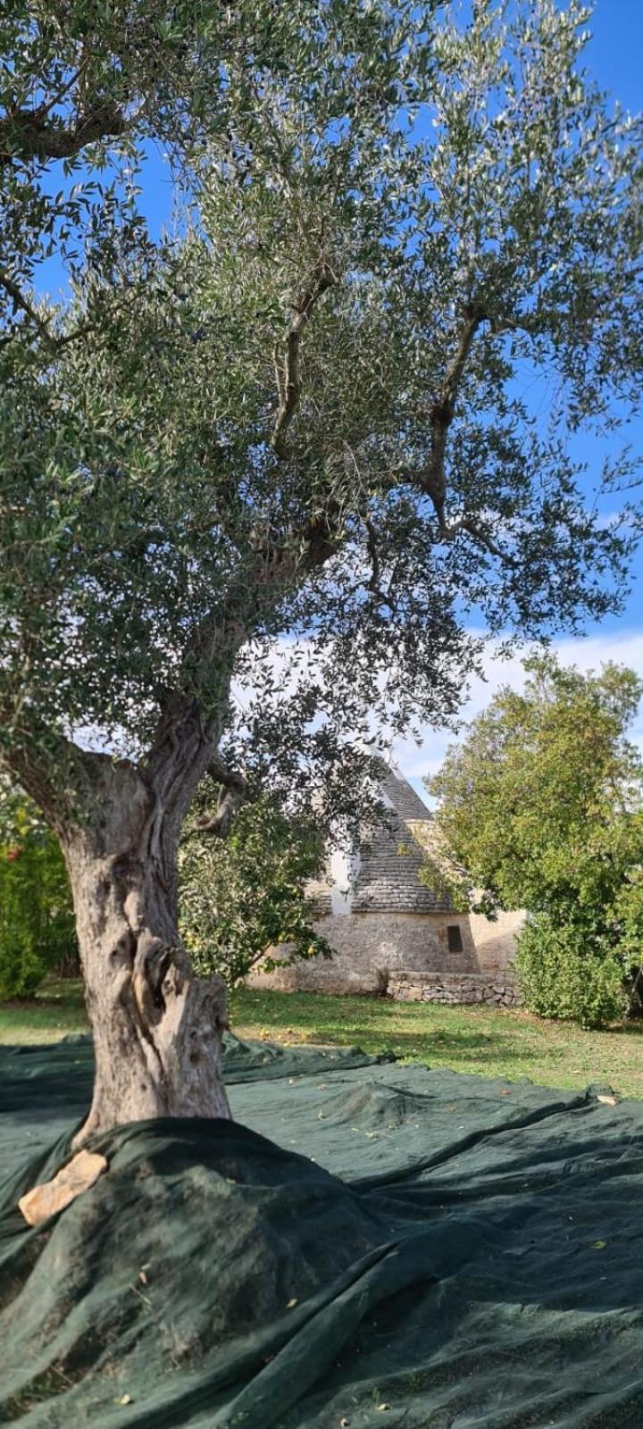 Trullo Claf Villa Ostuni Exterior photo